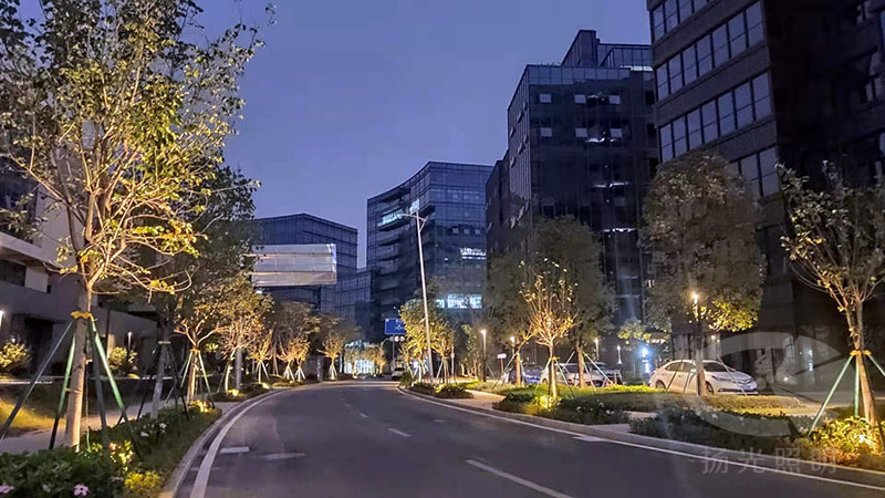 產業(yè)園夜景亮化工程實景圖